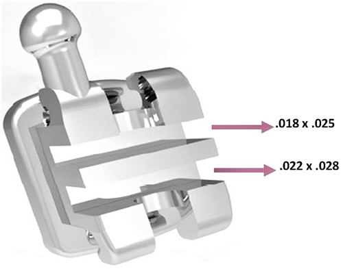 Double-Slot Roth Brackets, 28/case