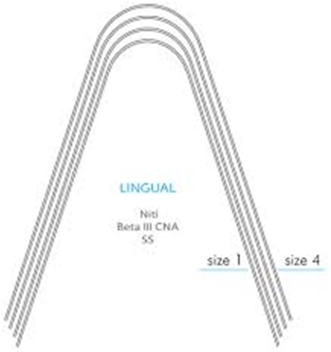  Lingual-Round SS