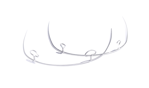 Looped Beta and SS Arch Wires